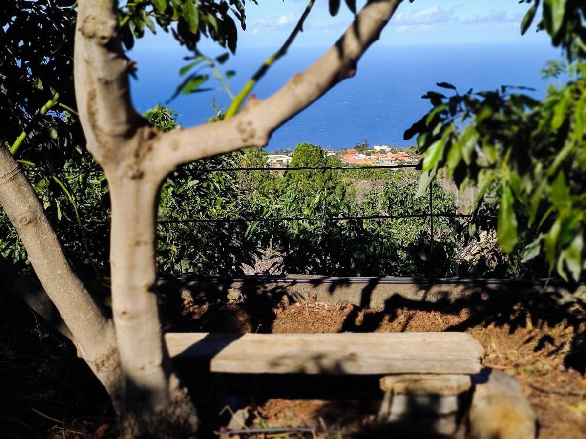 La Casa De La Cartita Villa Puntagorda Kültér fotó