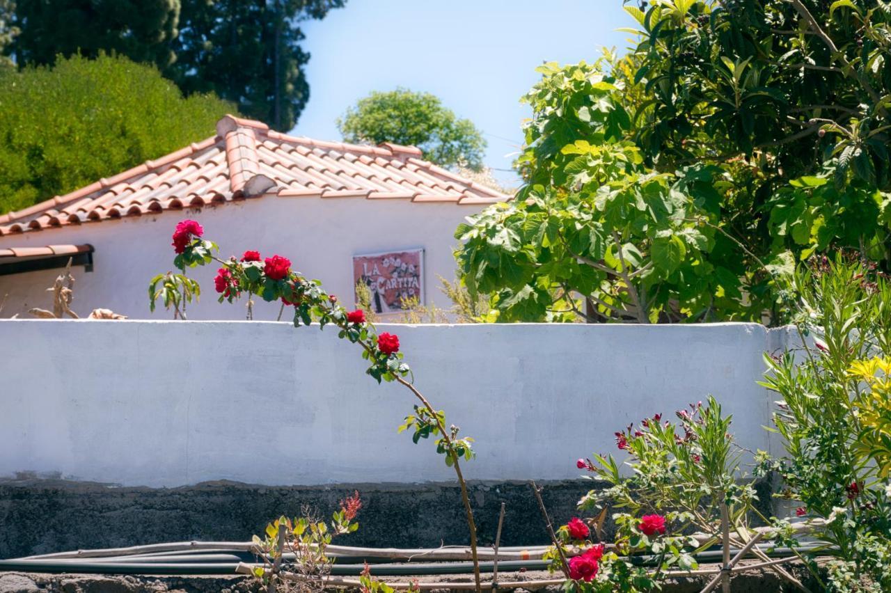 La Casa De La Cartita Villa Puntagorda Kültér fotó