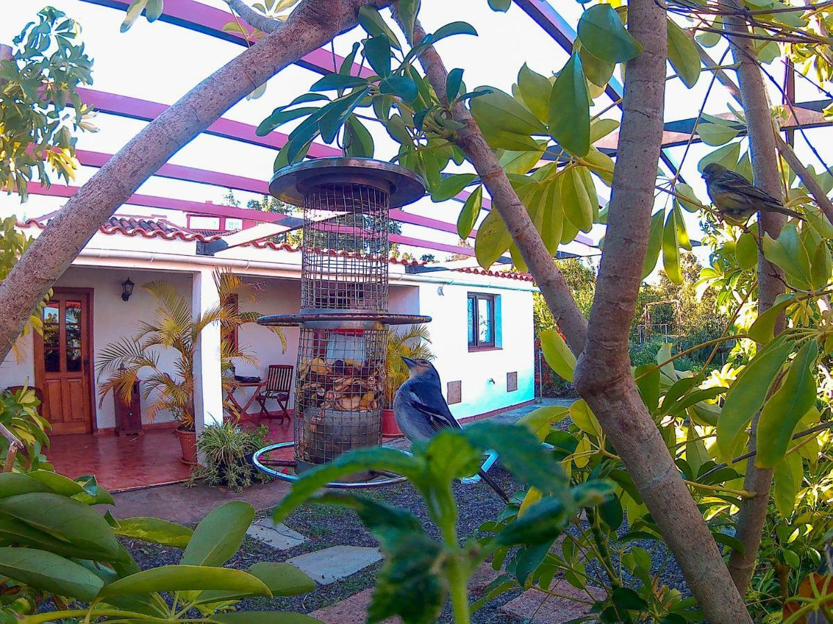 La Casa De La Cartita Villa Puntagorda Kültér fotó